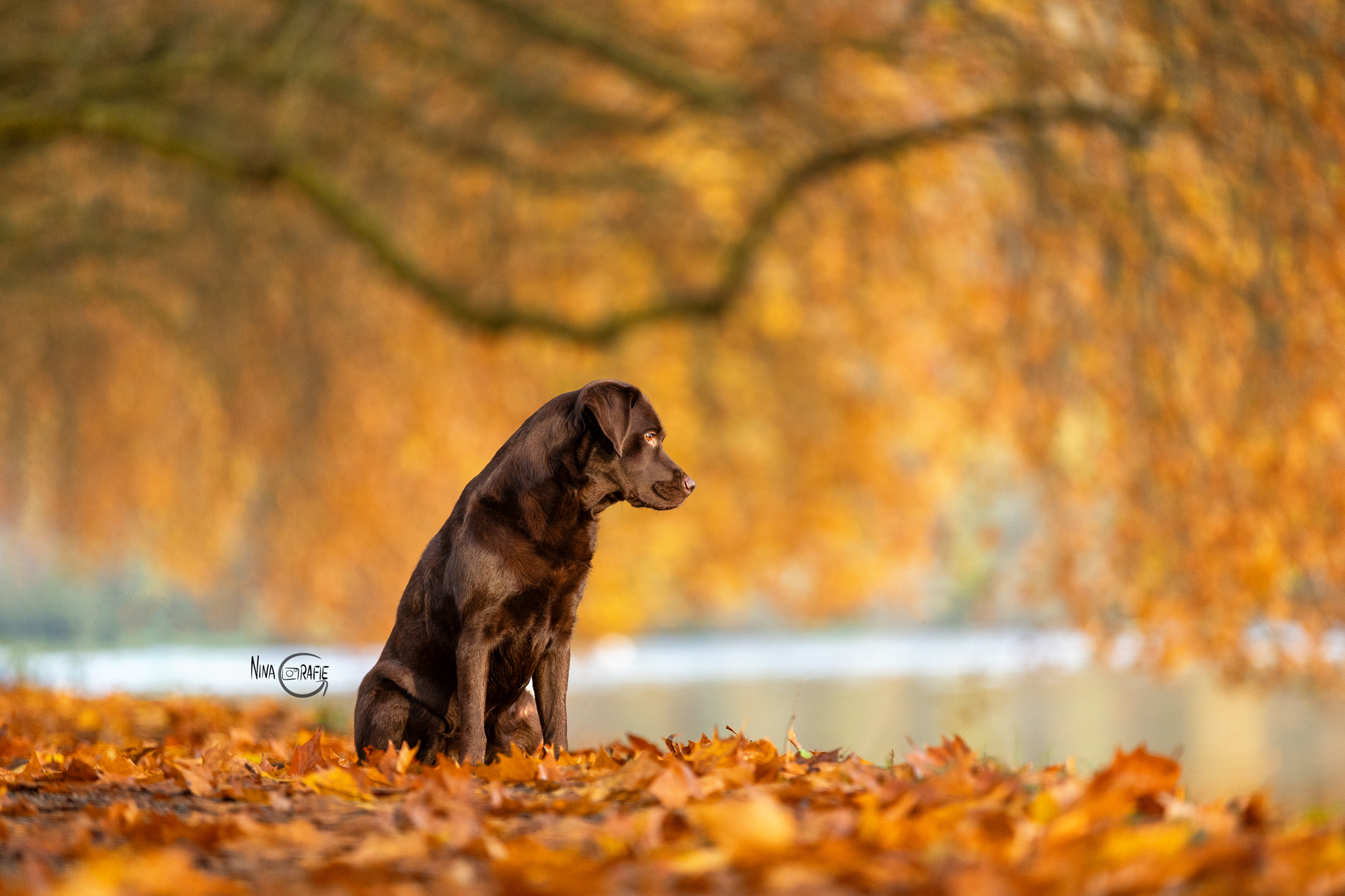 4 Jahreszeiten Fotowalk Baldeneysee 2025