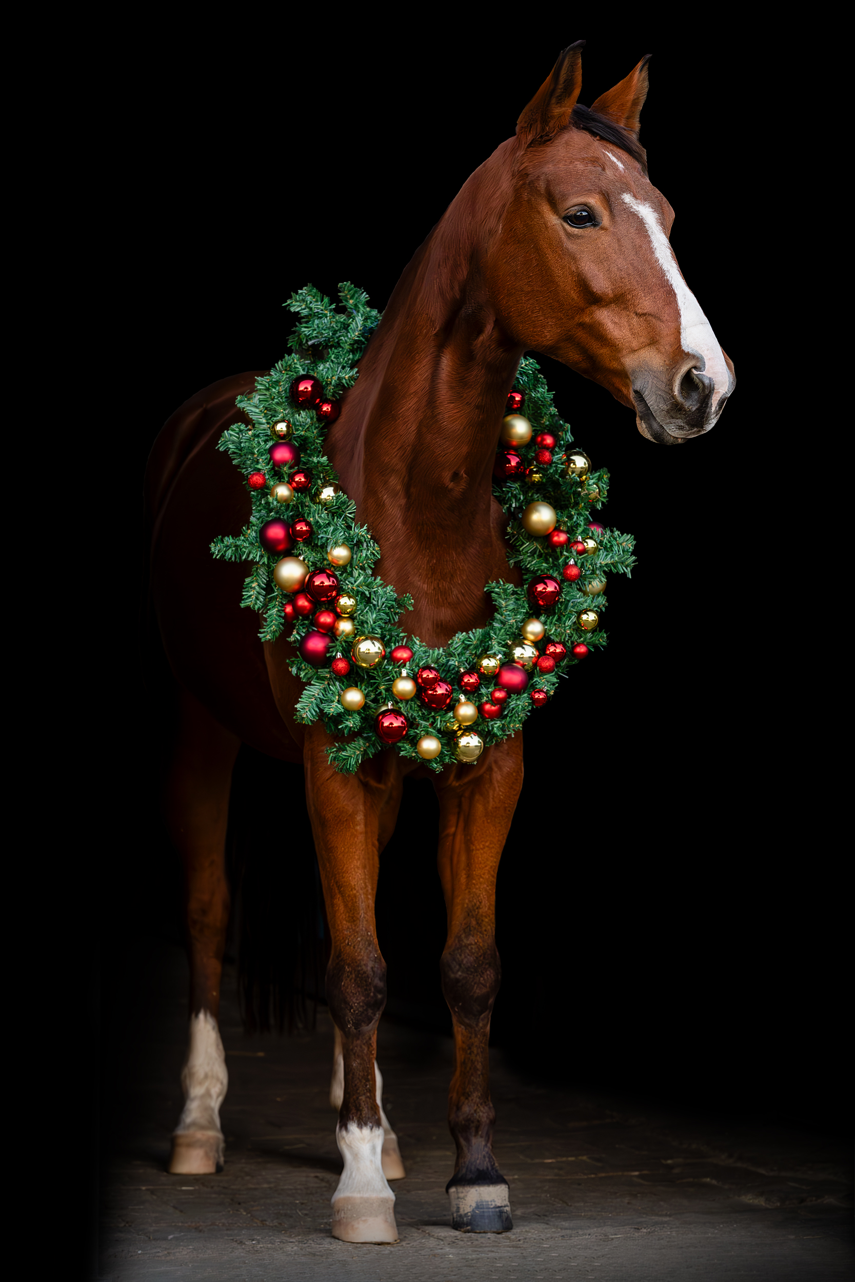 Shooting - Beauty in Black Christmas Edition