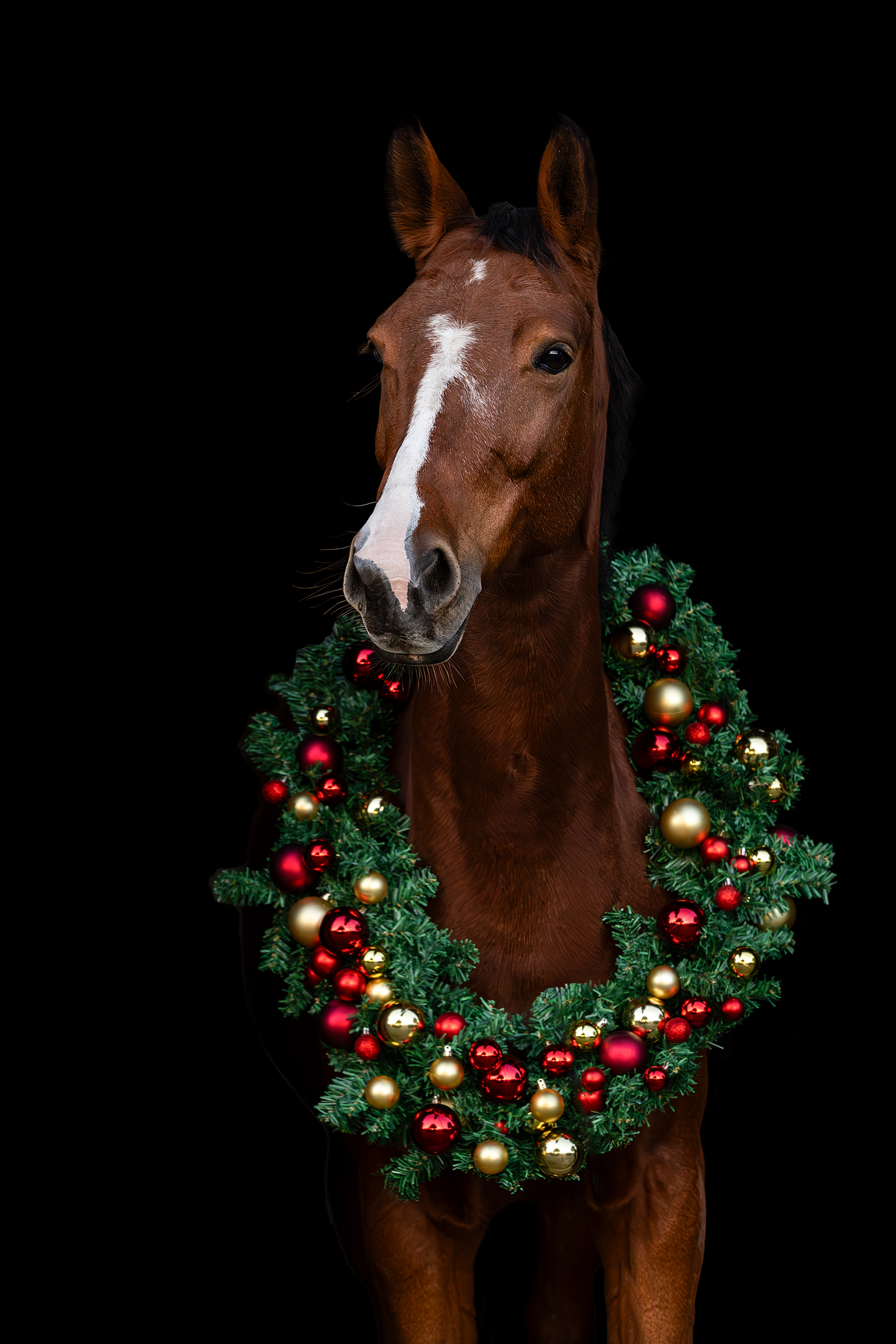 Shooting - Beauty in Black Christmas Edition
