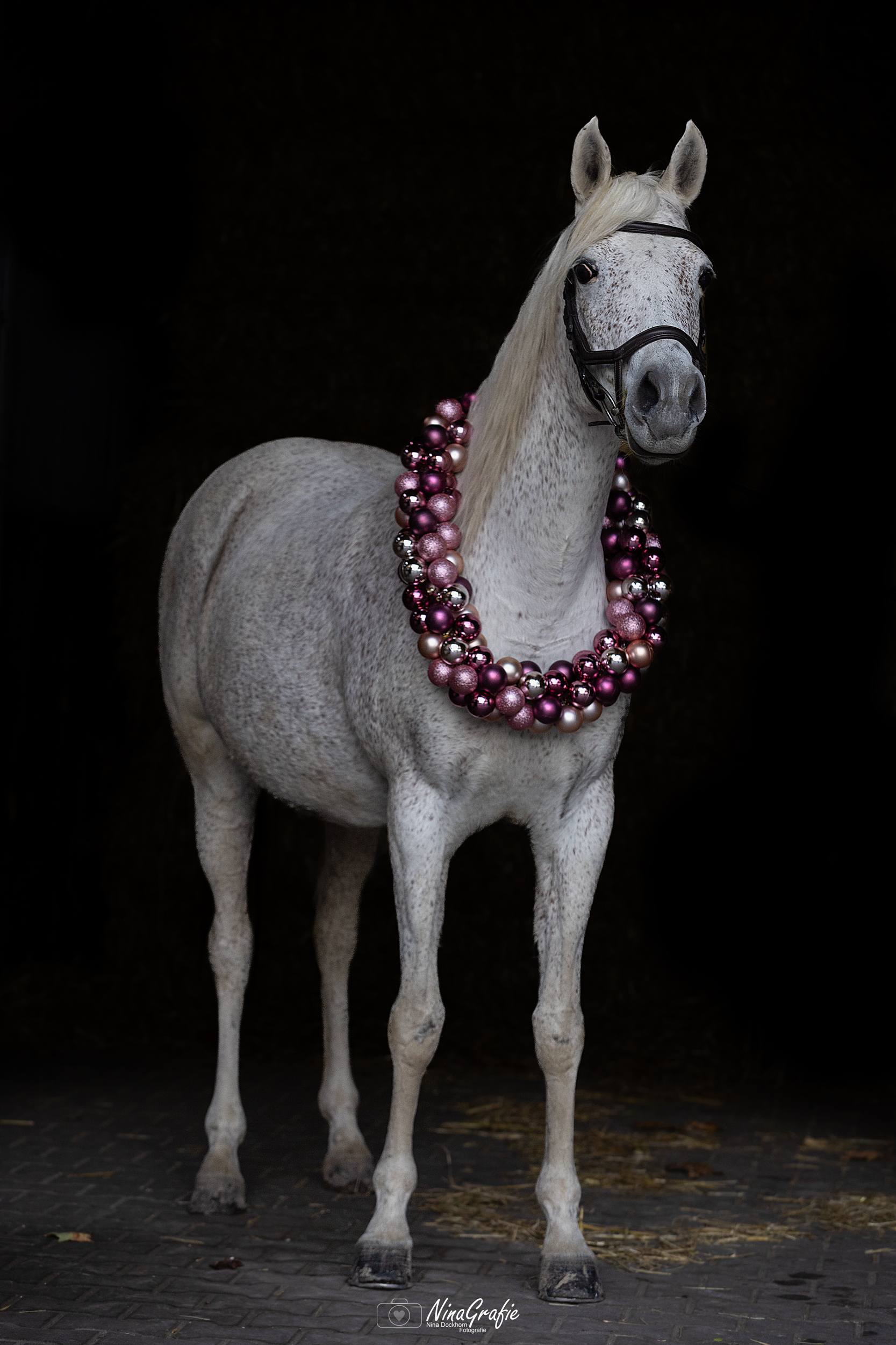 Shooting - Beauty in Black Christmas Edition