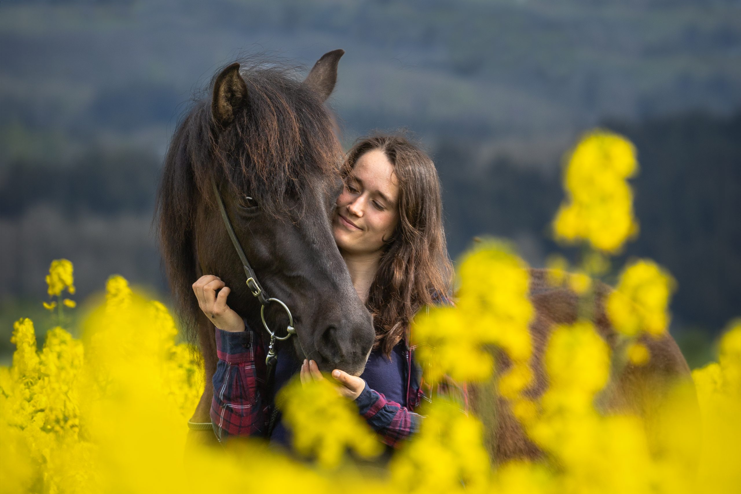Shooting - Pferd und Mensch im Raps