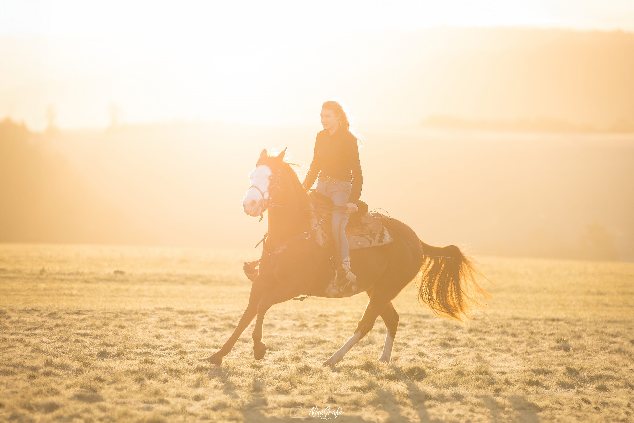 Shooting - Pferd im Sonnenaufgang
