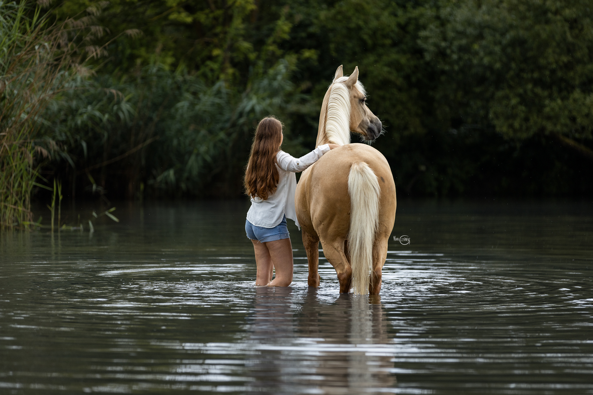 Portfoliotag Freilauf im Wasser