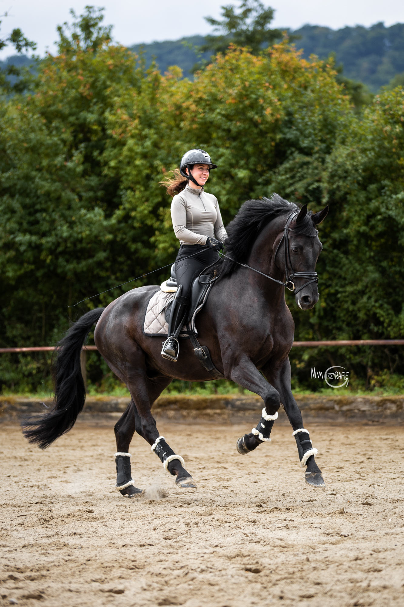 Portfoliotag Pferd Reitplatz