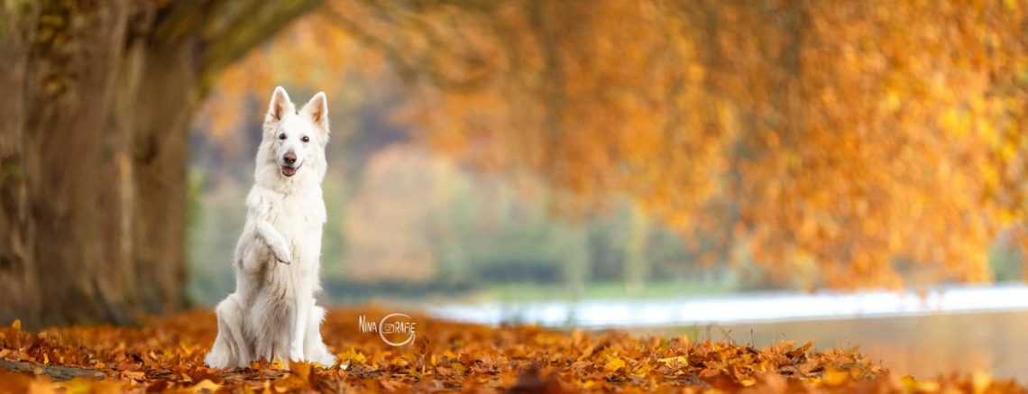 Fotoshooting - 4 Jahreszeiten am Baldeneysee