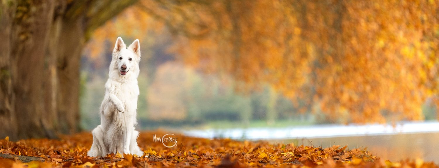 Fotoshooting - 4 Jahreszeiten am Baldeneysee