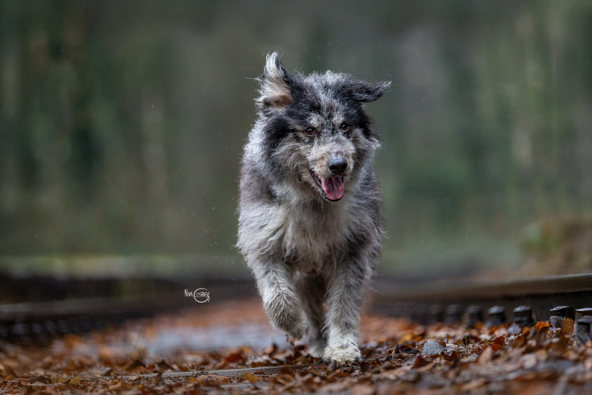 Shooting - 4 Jahreszeiten am Baldeneysee