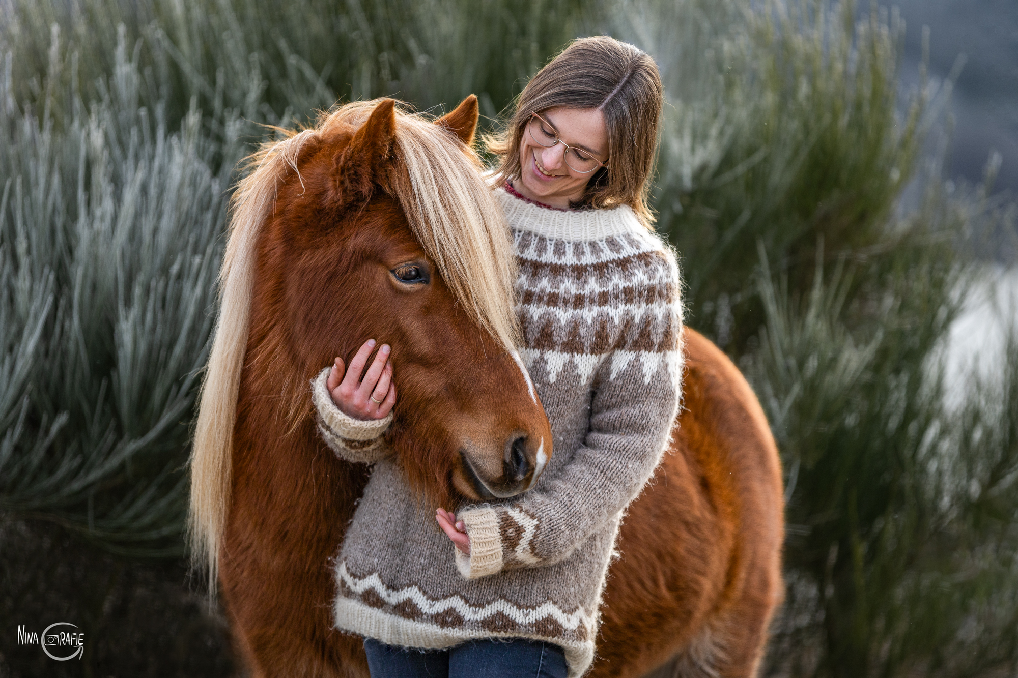 Shooting - Islandpony