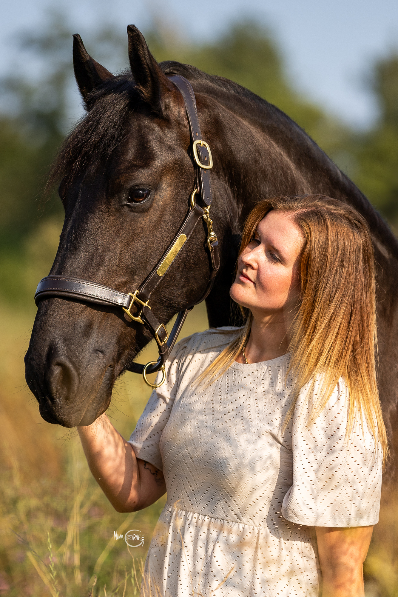 Shooting - Friese