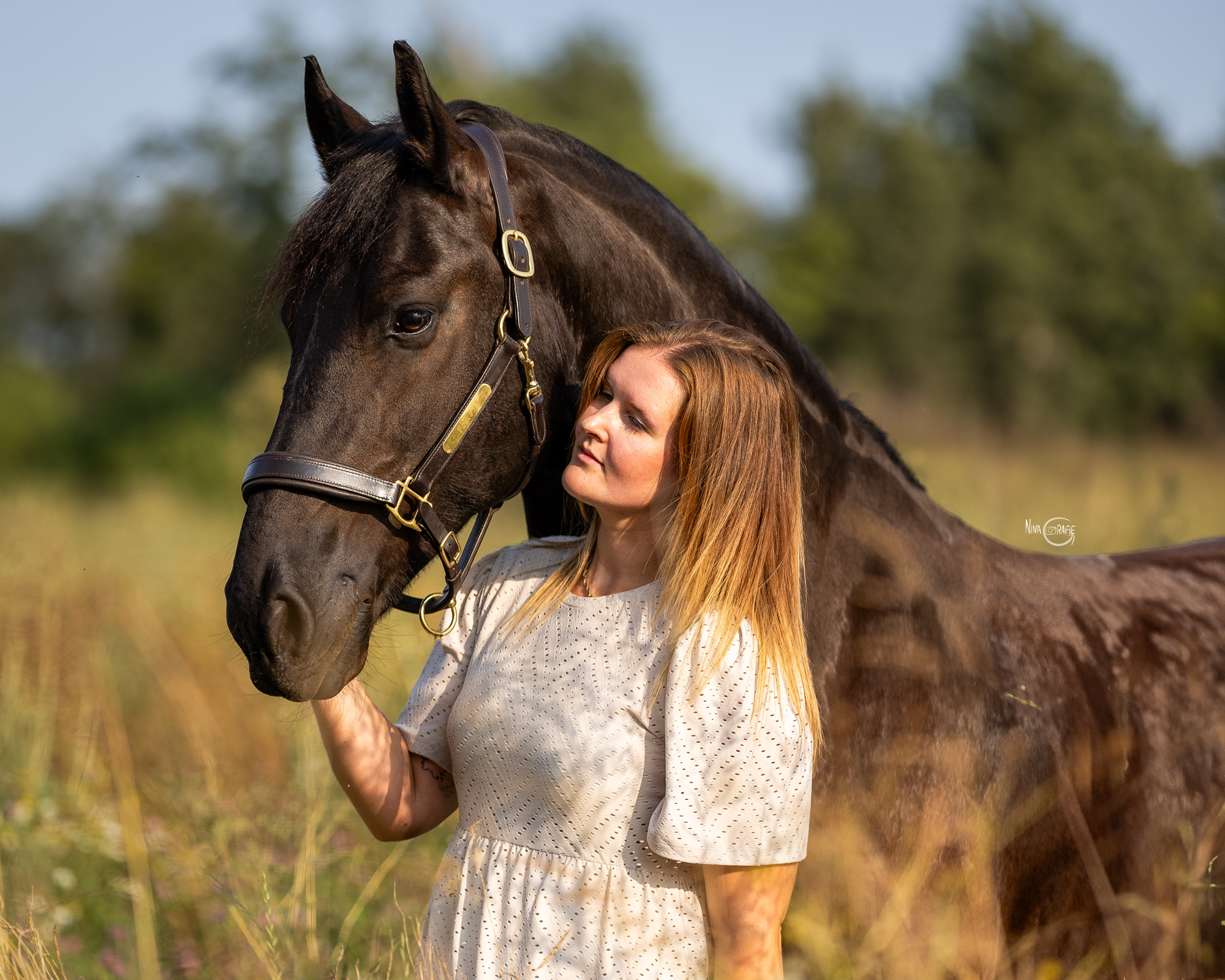 Shooting - Friese