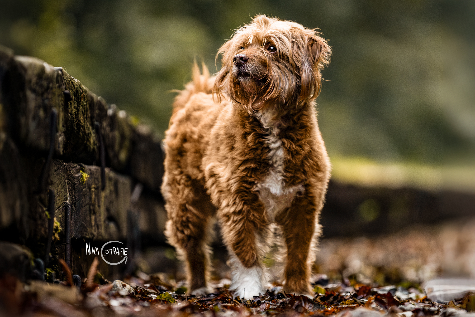 Shooting - 4 Jahreszeiten am Baldeneysee