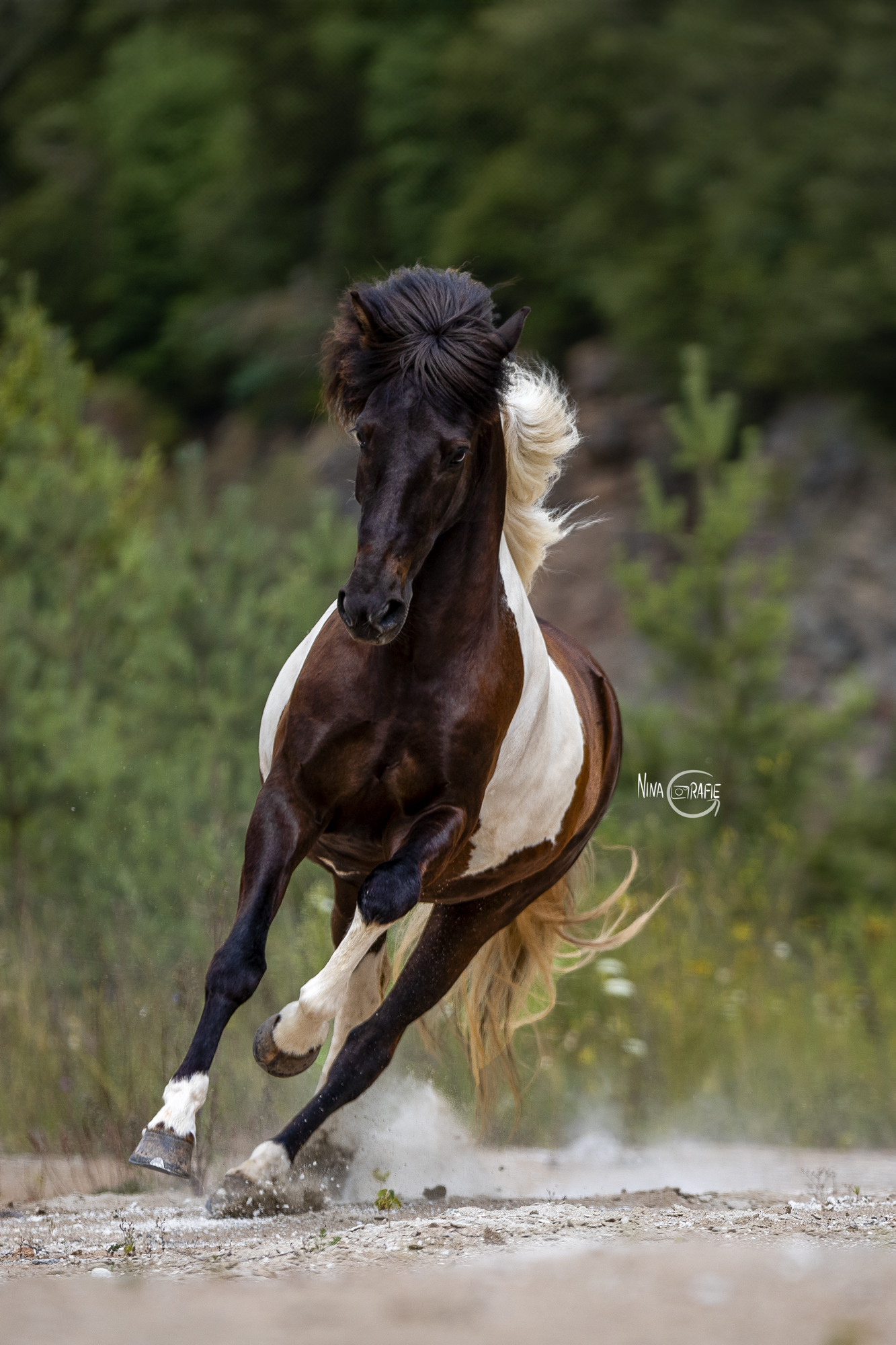 Fotoshooting Steinbruch