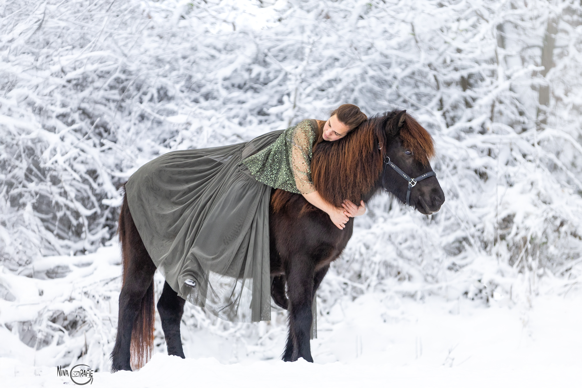 Shooting - Islandpferd im Schnee