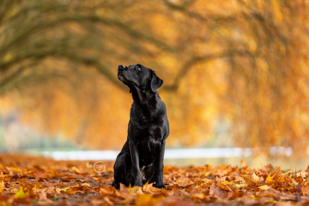 Shooting - 4 Jahreszeiten am Baldeneysee