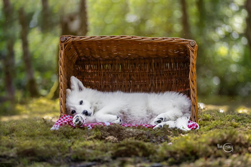 Shooting - 4 Jahreszeiten am Baldeneysee