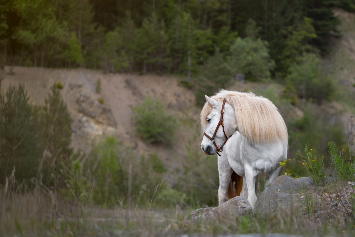 Fotoshooting Steinbruch