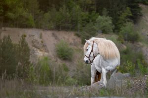 Fotoshooting Steinbruch