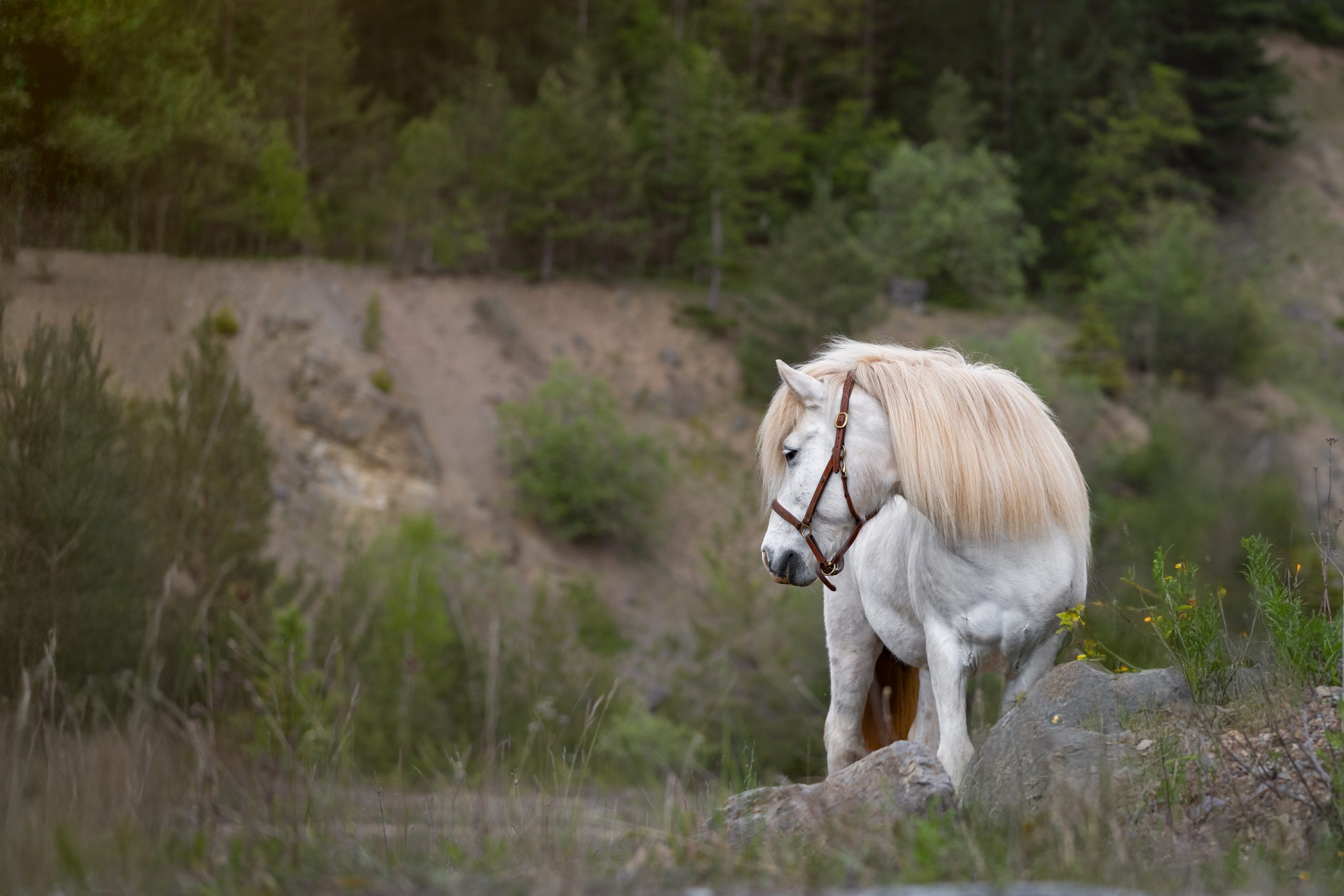 Fotoshooting Steinbruch