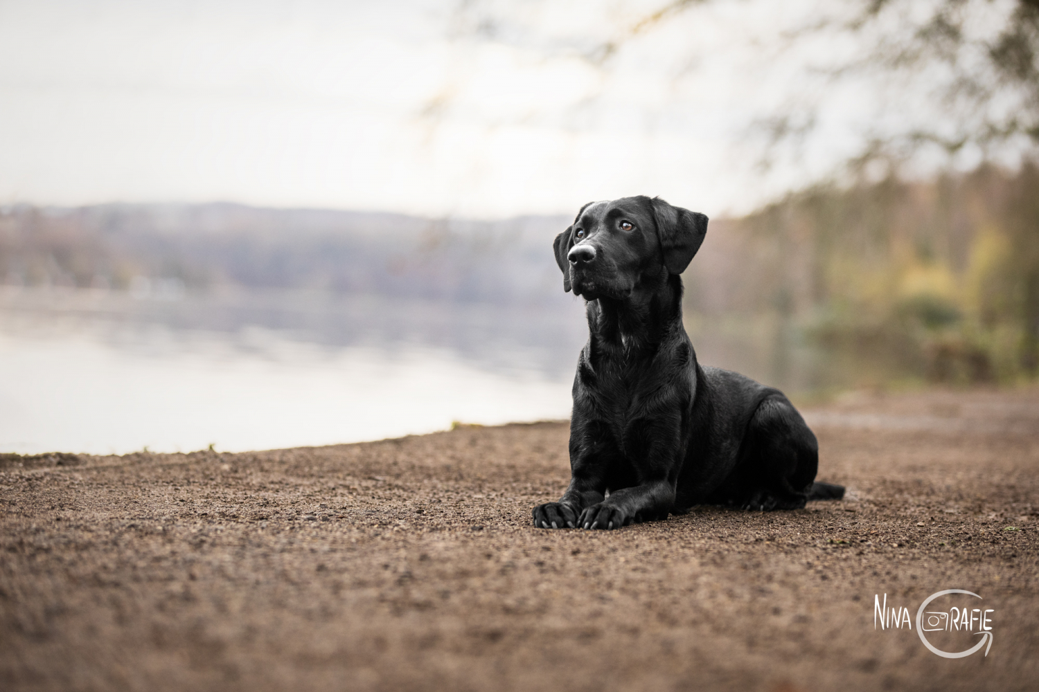 4 Jahreszeiten Fotowalk Baldeneysee 2025
