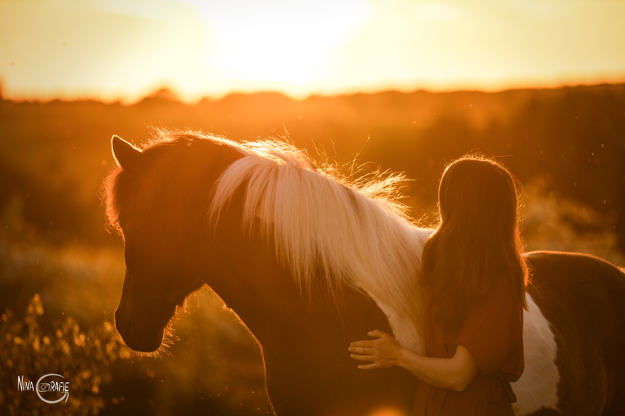 Sonnenuntergang im Sommer